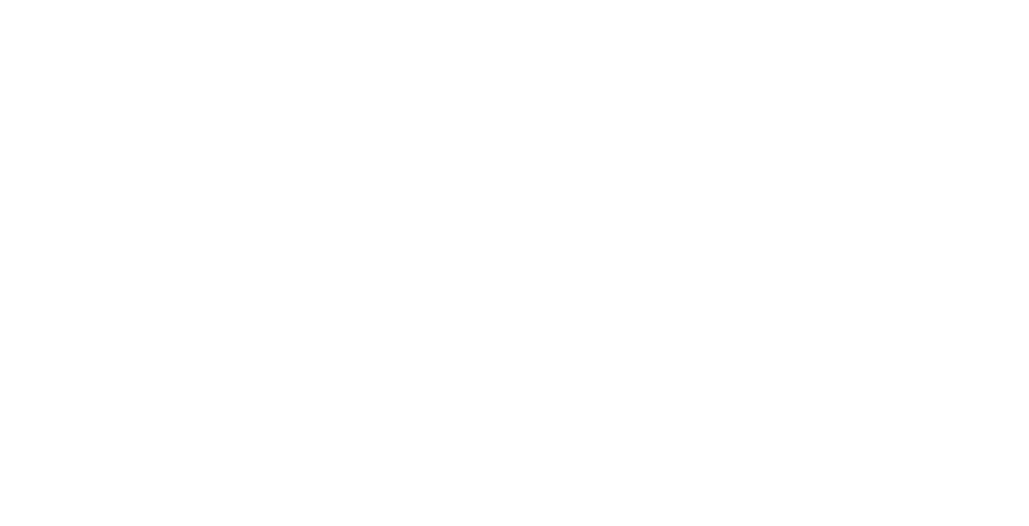 Waldbalance – Martin Riess